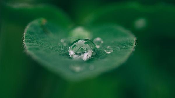 © Foto: Aaron Burden/unsplash